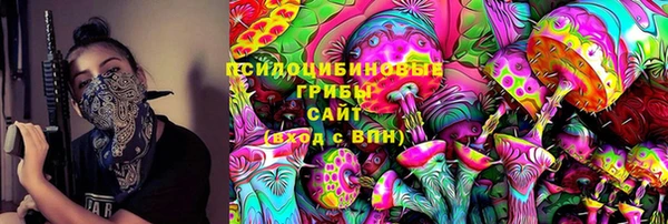 шишки Вязьма